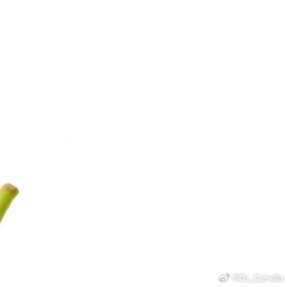 草莓的种植方法一、种植前准备1. 品种选择   · 四季草莓：全年多次结果（如“