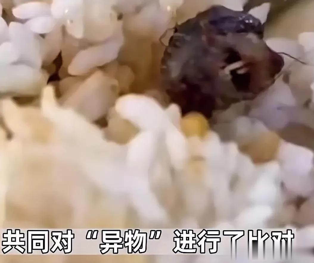 我就是个瓷锤。那就是个“鸭脖”。
干的漂亮！
这样子弄你们就没想过：九年义务教育