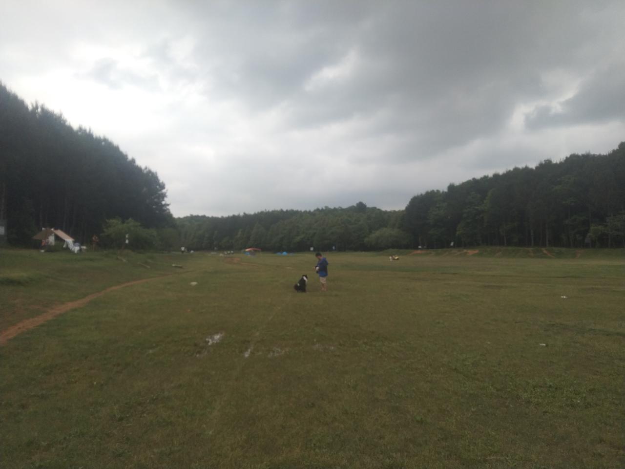 俄乌战争就是再打十年，俄占了的地方是不会吐出来的！