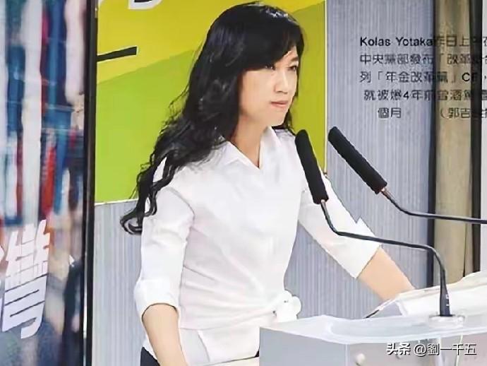 郑丽文访问大陆的消息传出后，台湾各界积极踊跃，纷纷发表各自的意见表示支持:国家统