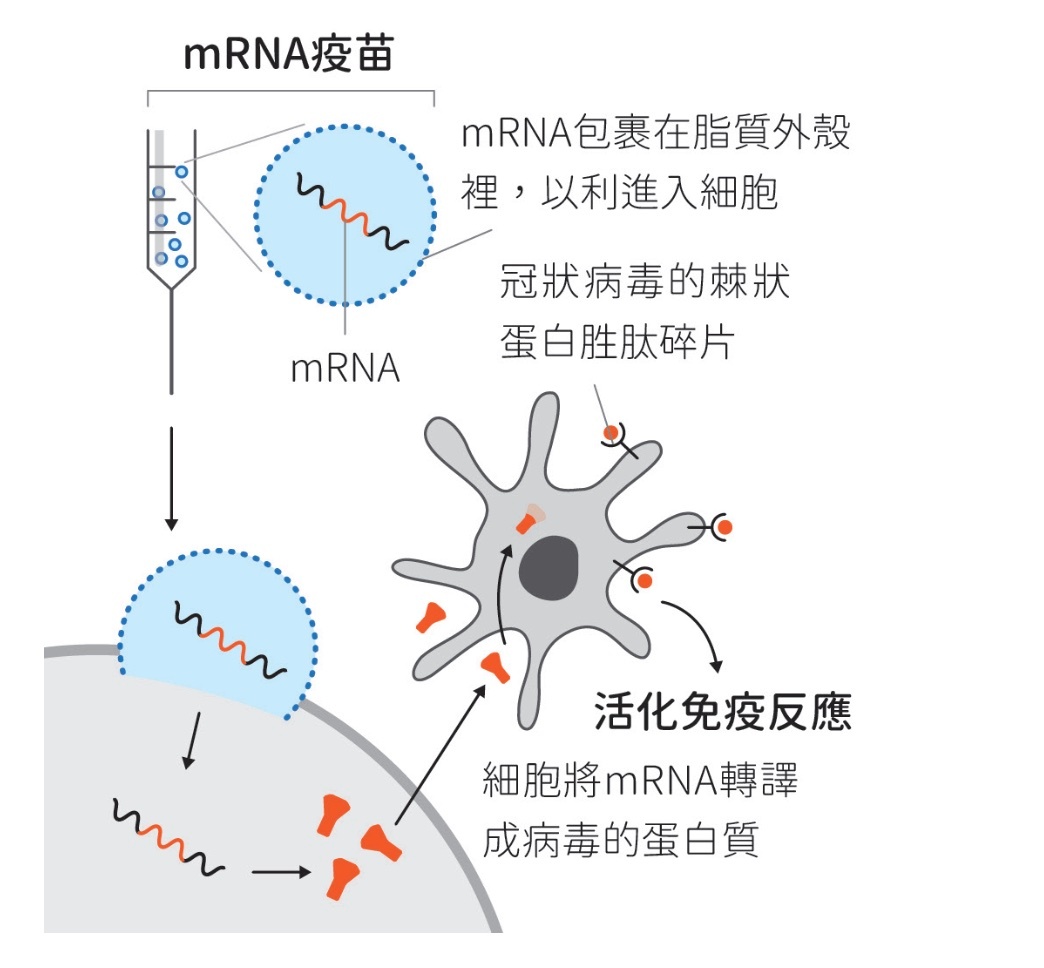 #mRNA癌症疫苗要来了吗#【mRNA癌症疫苗大突破？单疗程或超20万美元，莫得