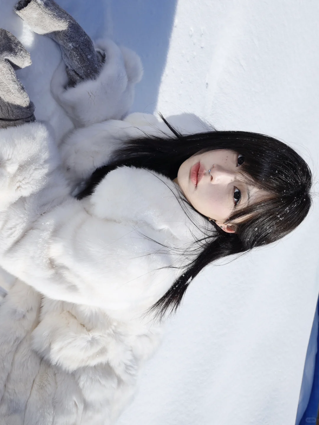 雪地里的小狐狸＞𐋣＜