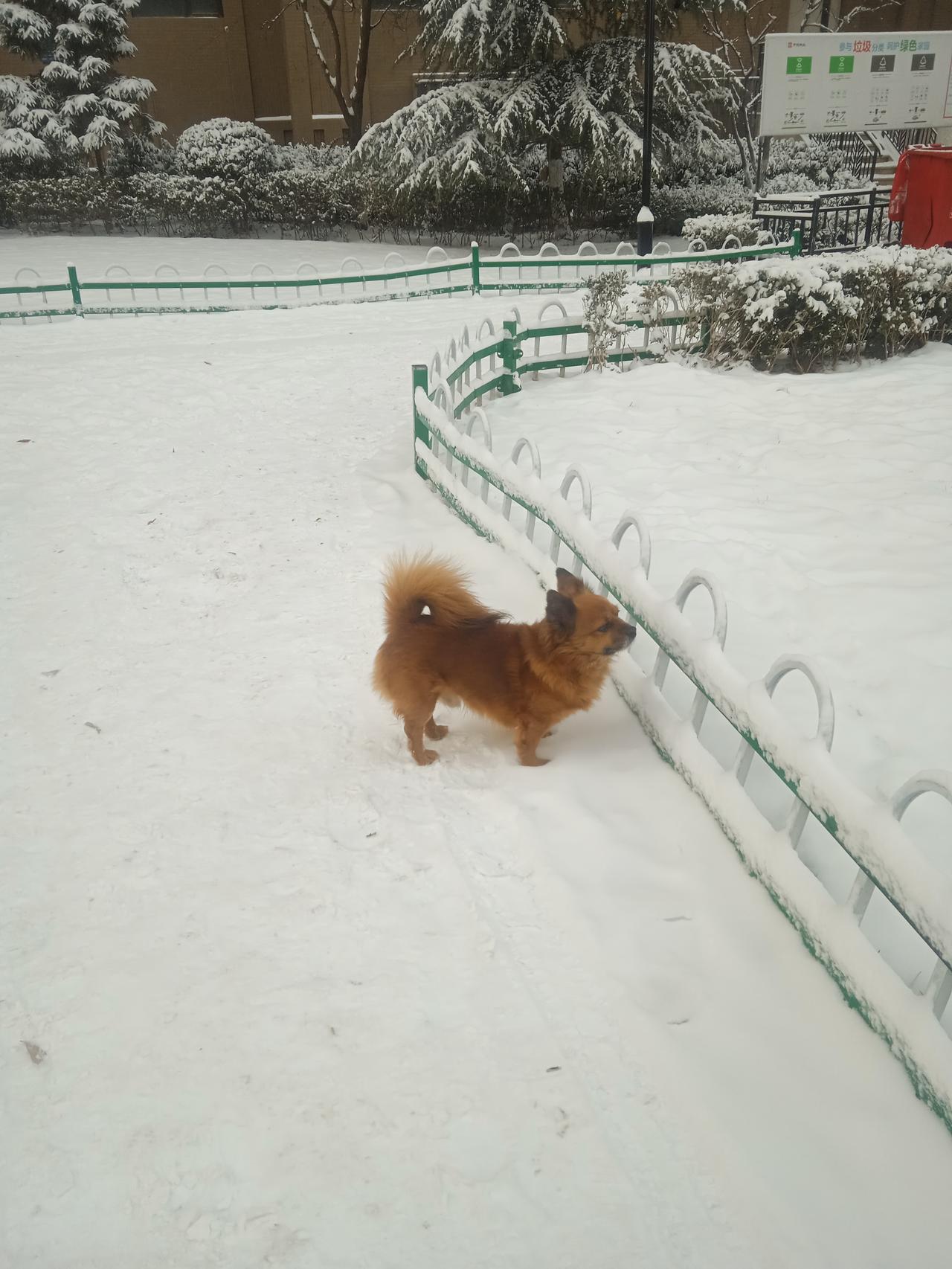 冬日生活打卡季冬天来了，一年之末而至，是暖冬还是寒冬，不论是暖寒，这冬天还得过。
