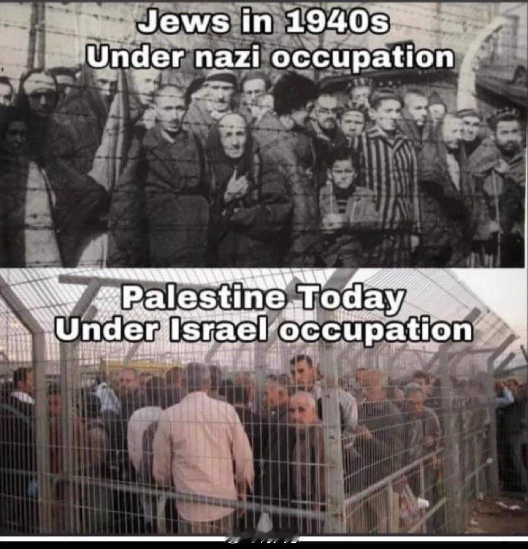 你看出上下图区别了吗？海外新鲜事何天恩