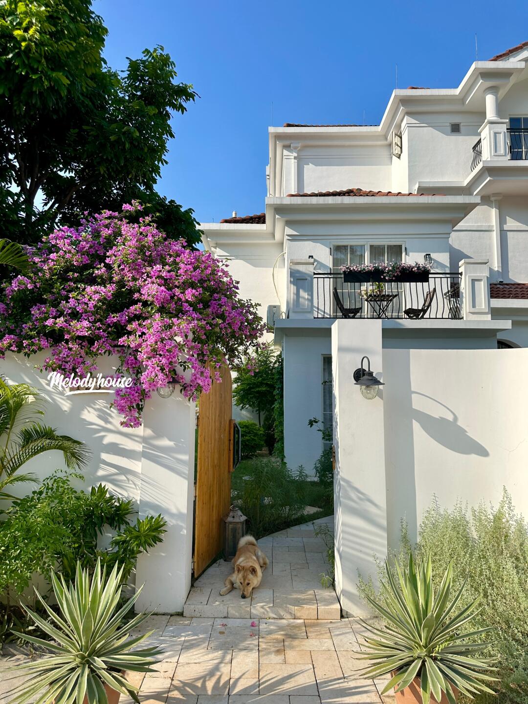 讲真，我家接不了商拍和剧组🎬