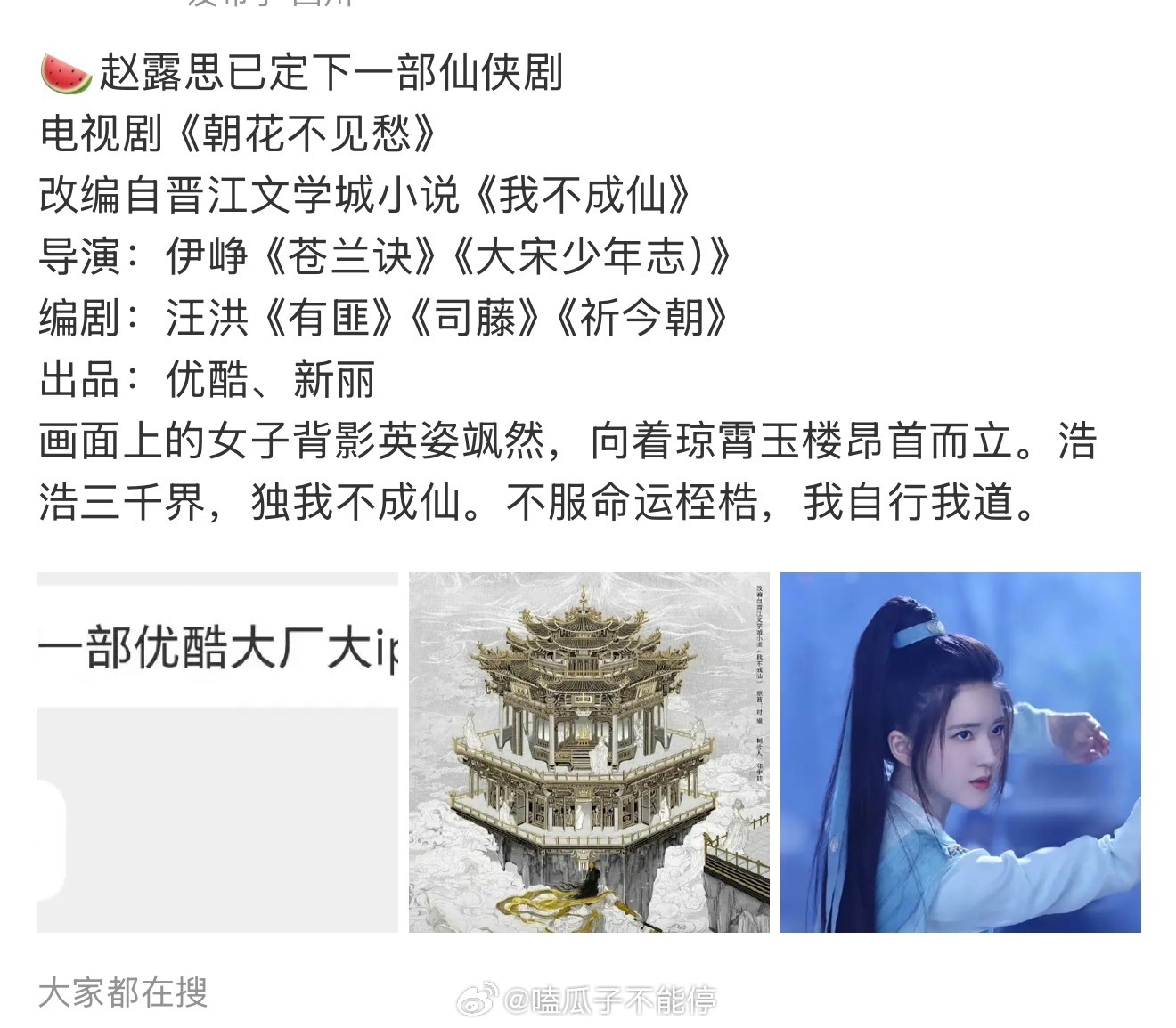 赵露思又传新剧🍉了，《朝花不见愁》导演是苍兰诀伊峥，你期待吗