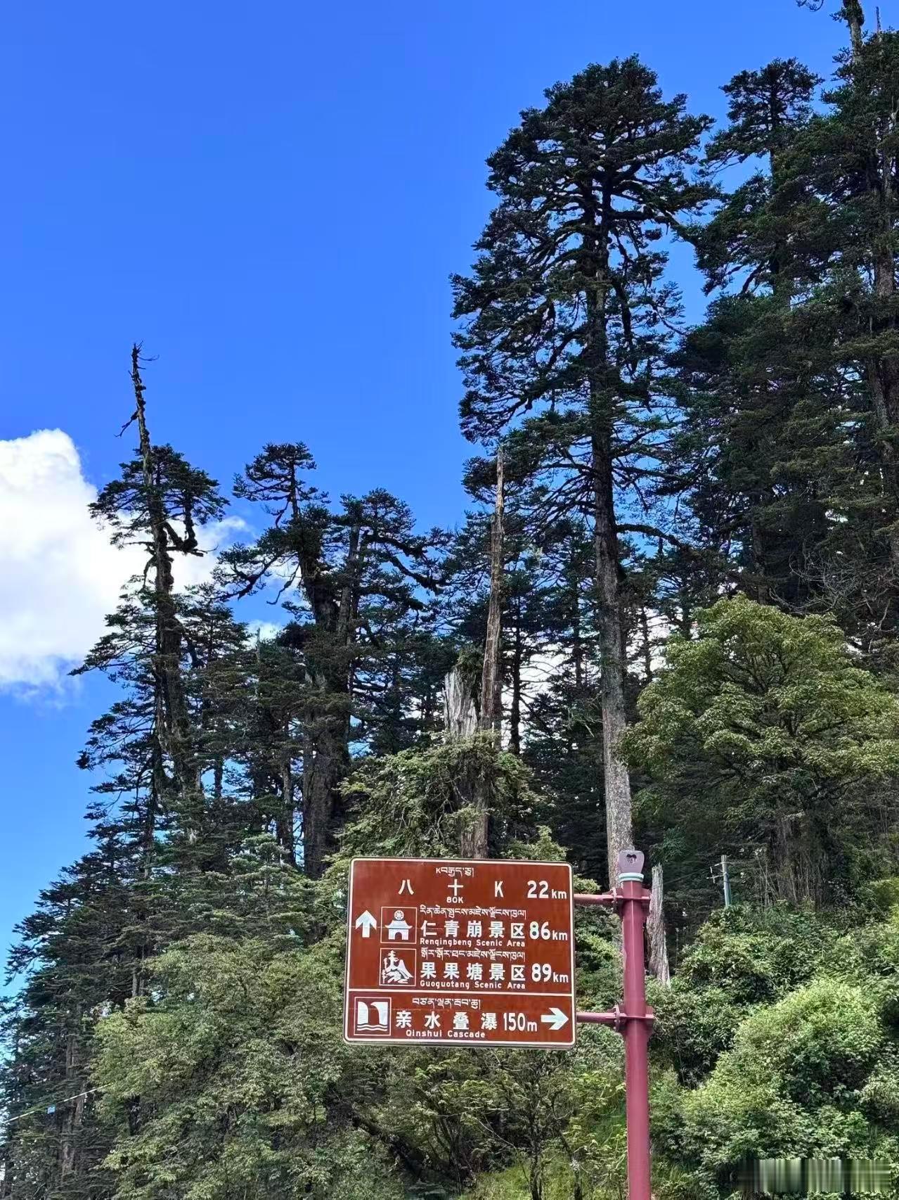 普通人的一生到底在追求什么普通人这一生未必要大富大贵。不求轰轰烈烈，只求三餐安稳