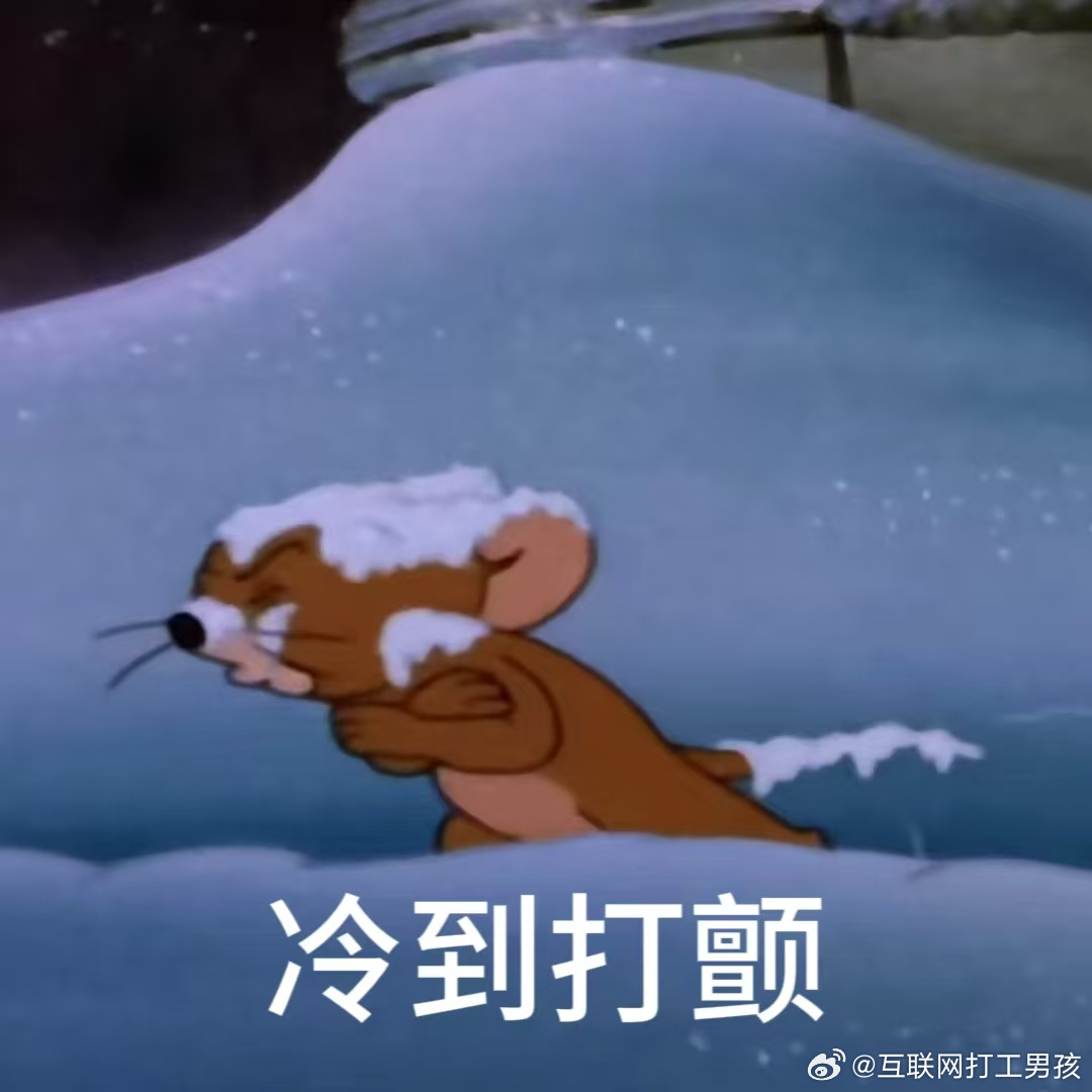 被子外的世界太残酷了🥶 