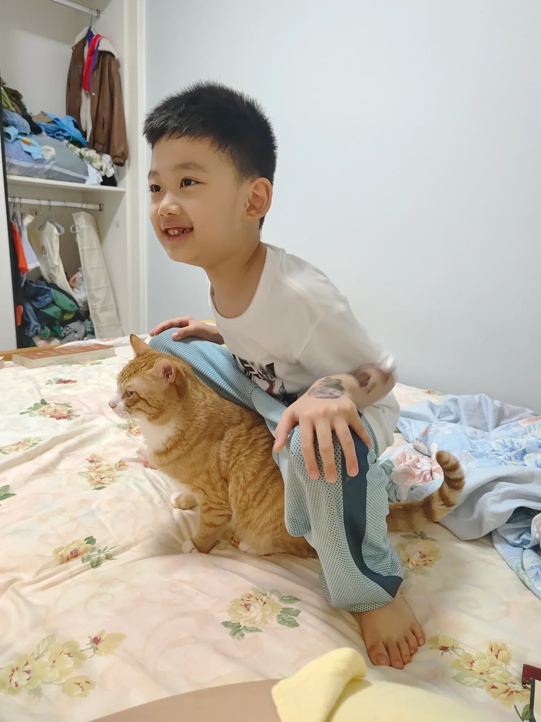 收服了一匹坐骑