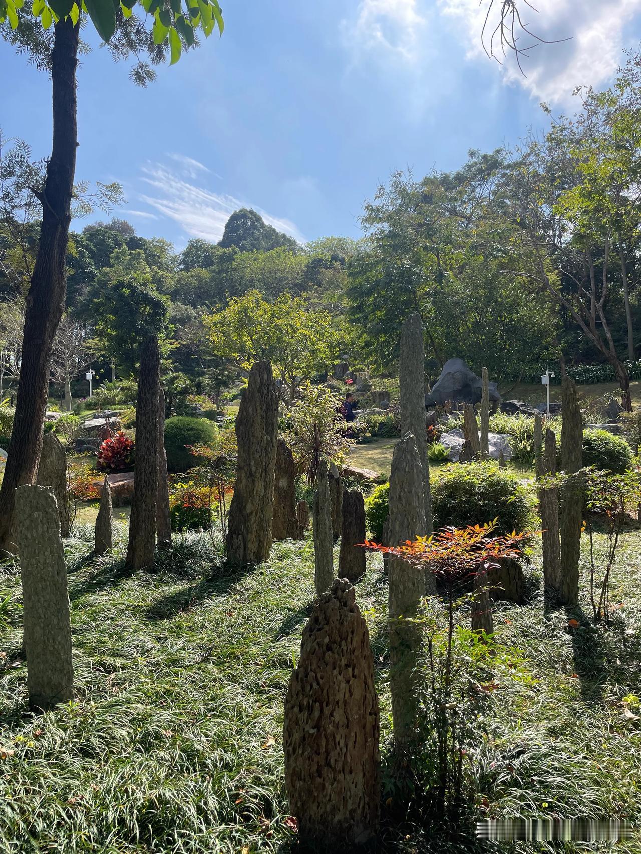 随手记录美好春景，我走进了东莞植物园的岩石园。踏入其中，仿佛闯入了一个奇妙世界。