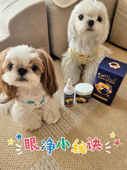 🥚蛋氏兄弟の眼净小秘诀👀