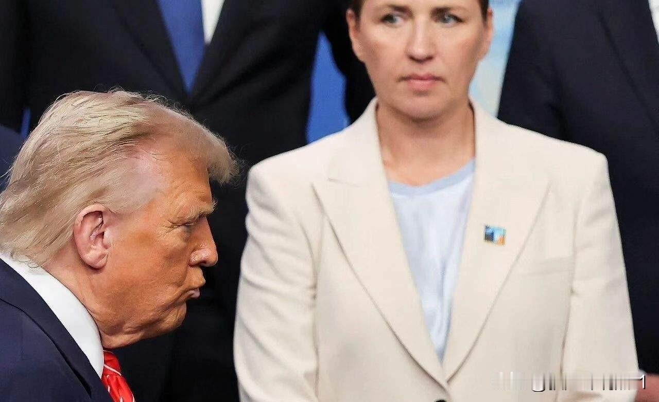 美国要夺取格陵兰岛，其实丹麦不用抵抗，也能让美国知难而退！

丹麦还有更适合的选