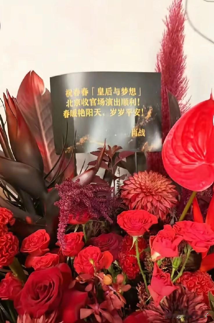 肖战来看李宇春演唱会了，还带着爸爸妈妈一起来的的，师徒回忆杀直接拉满。

近日，