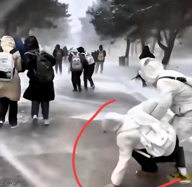 东北冬天的路，一踩就“变身”
头晚的雪被踩实再冻成冰
亮得能当镜子
风一吹还加点