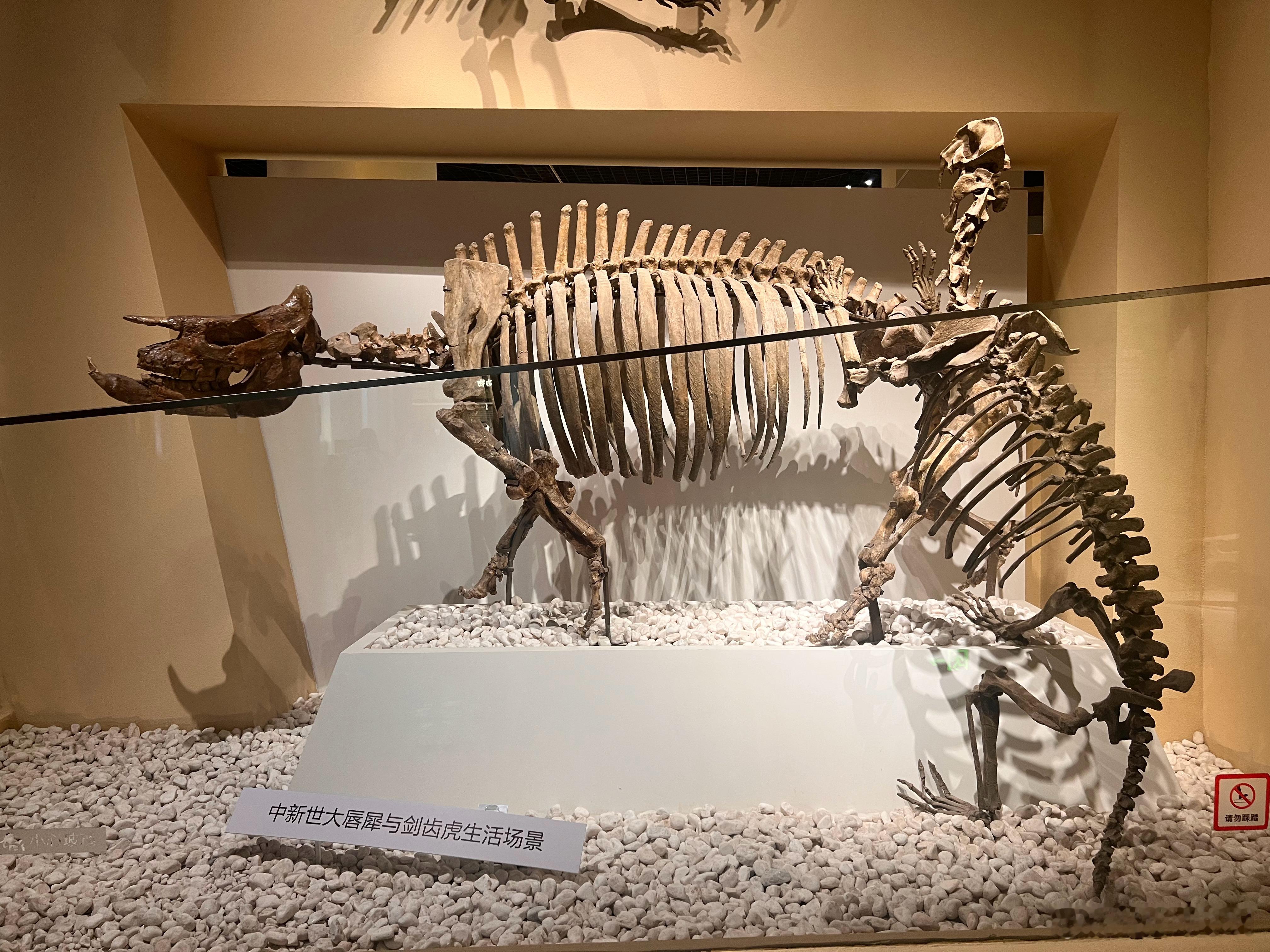 上次来还是小学生……可以回想起当年的我看到这些有多激动……现在也激动啊…… 北京