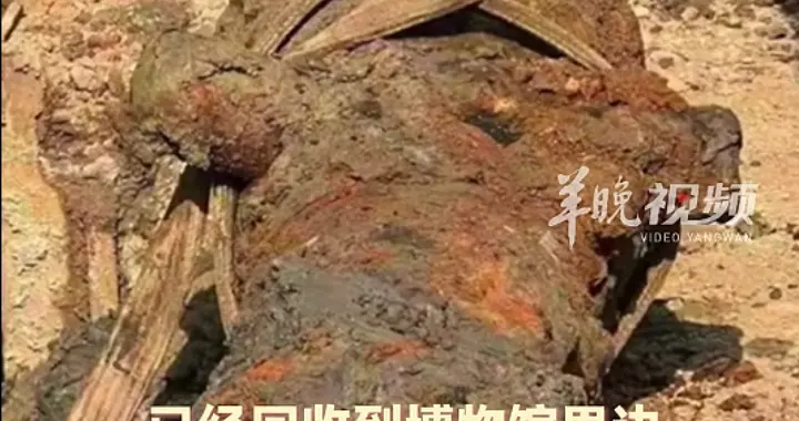 广东高州一工地发掘出一门大炮，网友：挖出“老铁”了，当地文旅局回应→