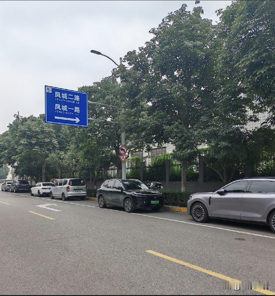 全国到处都有违停驶离提醒，为什么我的车直接贴罚单了，而且是我刚停下几分钟？
  