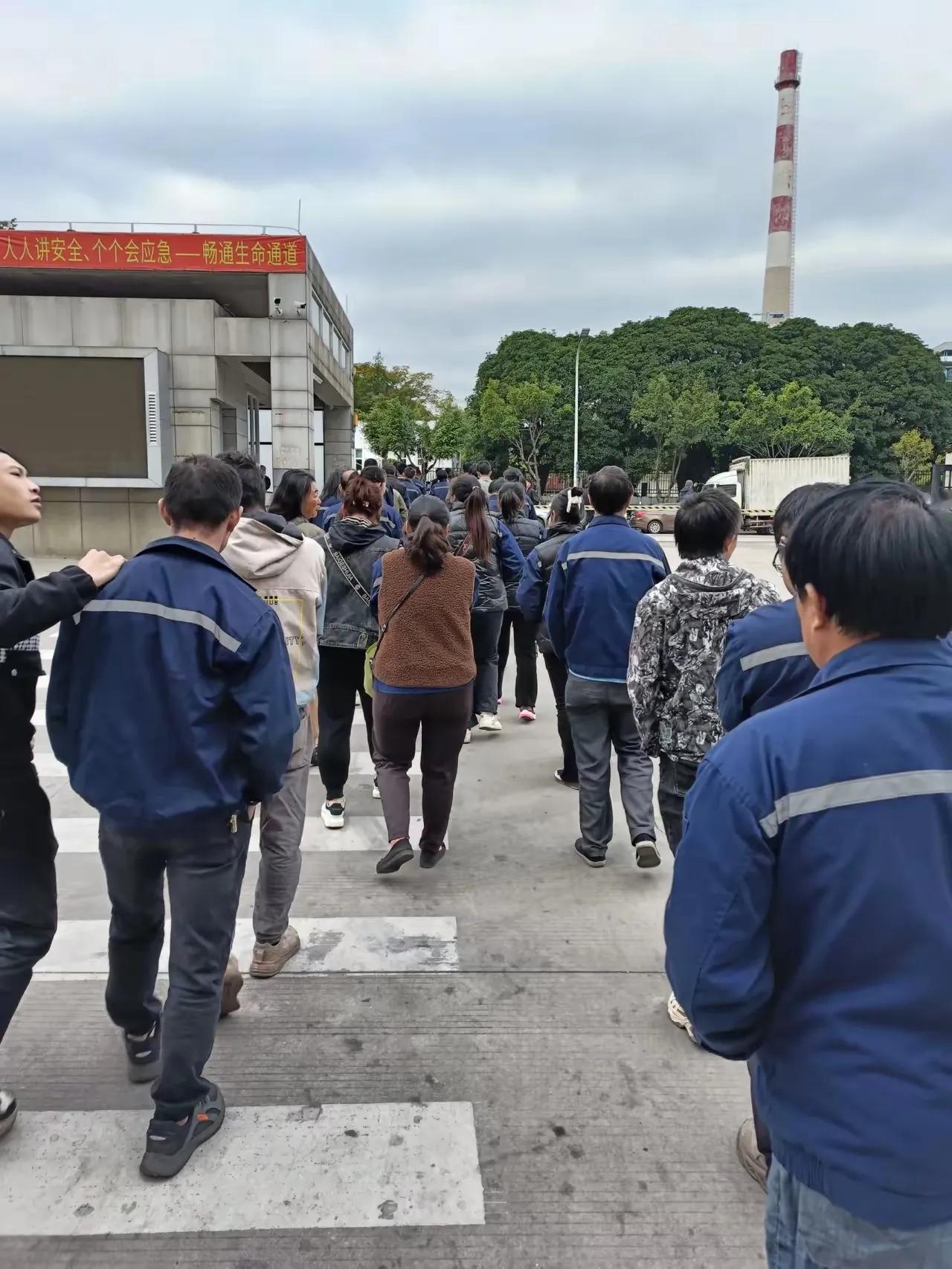 这是工厂干夜班，早上下班的场景，
个个无精打采，满面油光，疲惫不堪，月休一到两天