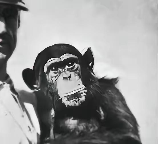 1920年，一俄国医生突发奇想，如果将猩猩的睾丸，移植到古稀之年老人的体内，会发