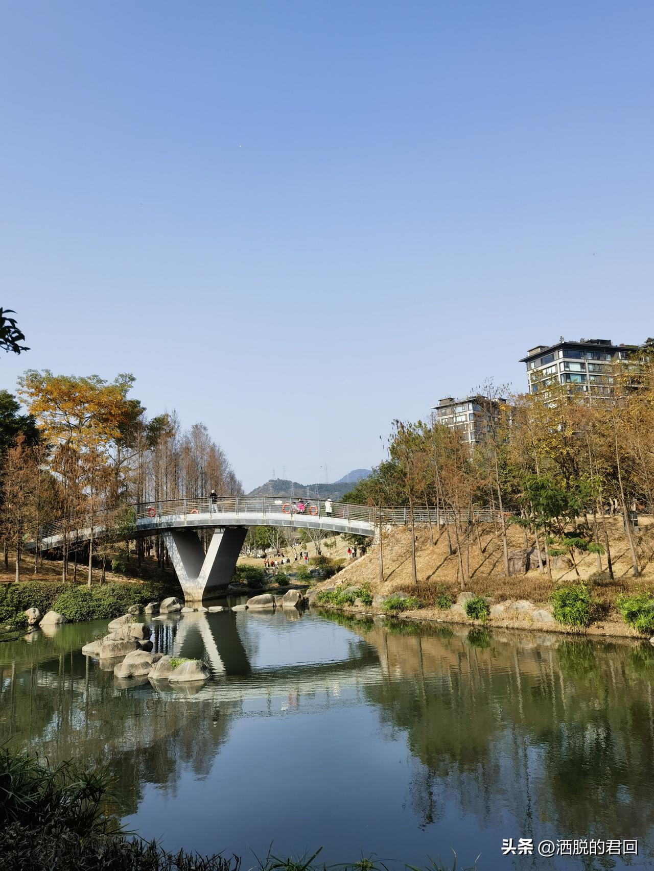 老子有一句名言，
授人以鱼不如授人以渔。
意思大家都懂，
但真正明白其中深意的并