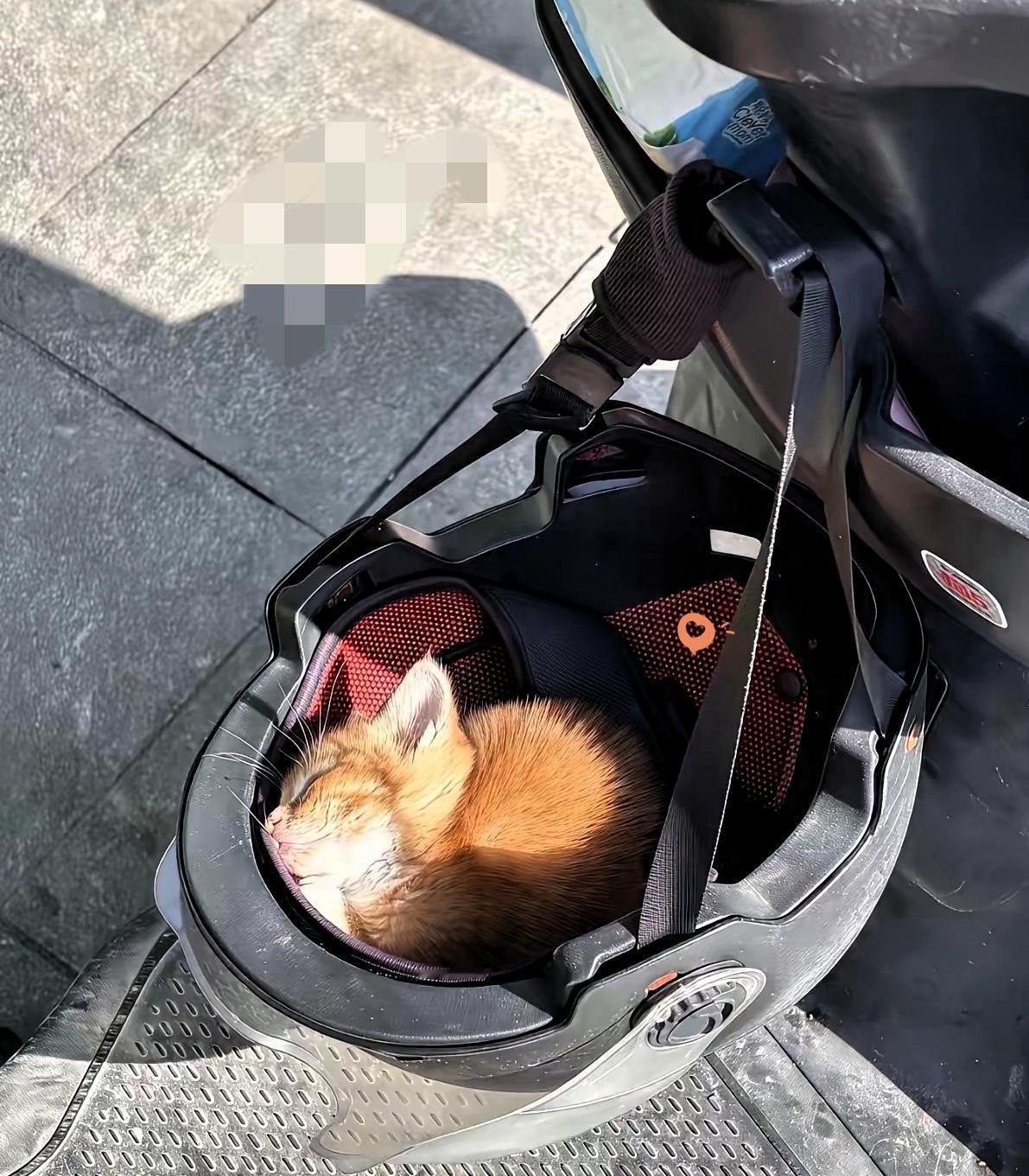 下楼买个菜的功夫，天上直接掉下来个小福星！
 
男子就停车几分钟，回去一看直接看