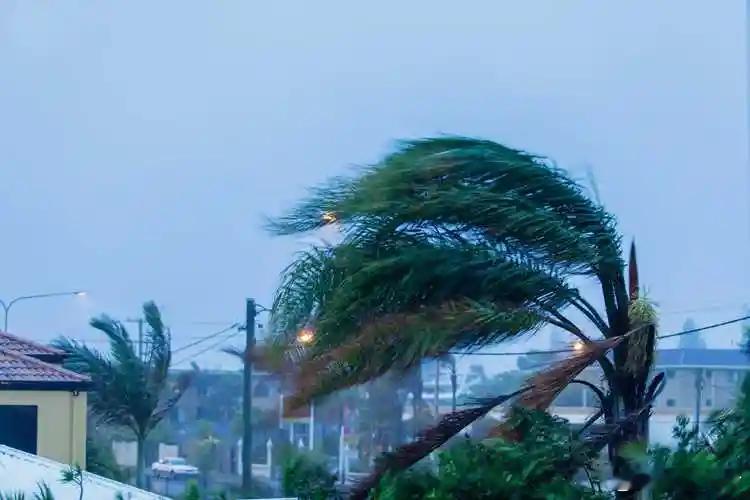 台风真的没招了，夏天秋天来台风就算了，怎么冬天了还来！昨天今天的风也太大了，不知