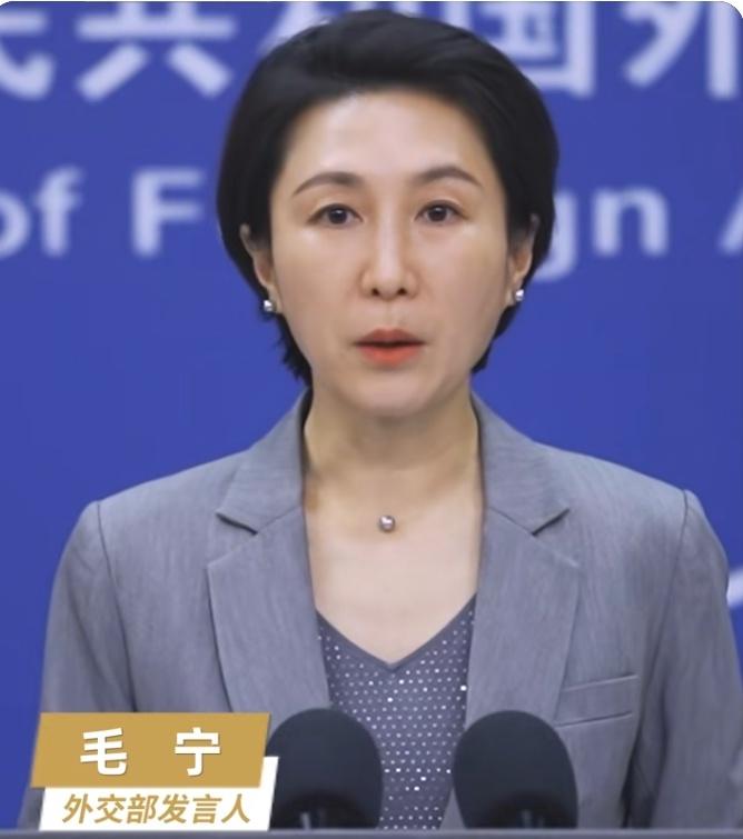 5月28日，日本和菲律宾发表所谓的联合声明正式启动日菲专属经济区和大陆架的划界谈