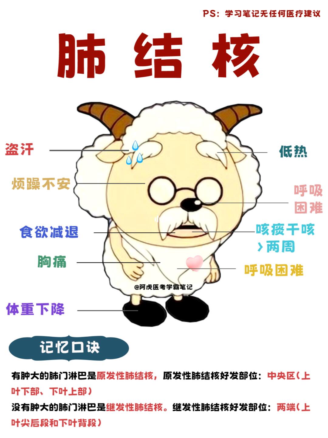 阿虎医考学霸笔记：当慢羊羊得了肺结核