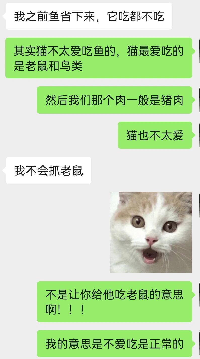 我不会抓老鼠（内疚 ​​​