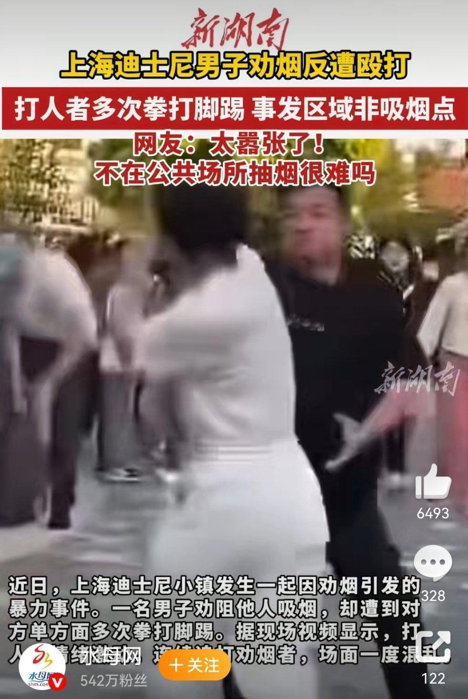 上海迪士尼男子被劝烟殴打劝烟者该罚就罚，不要过度调解，不要和稀泥！ 