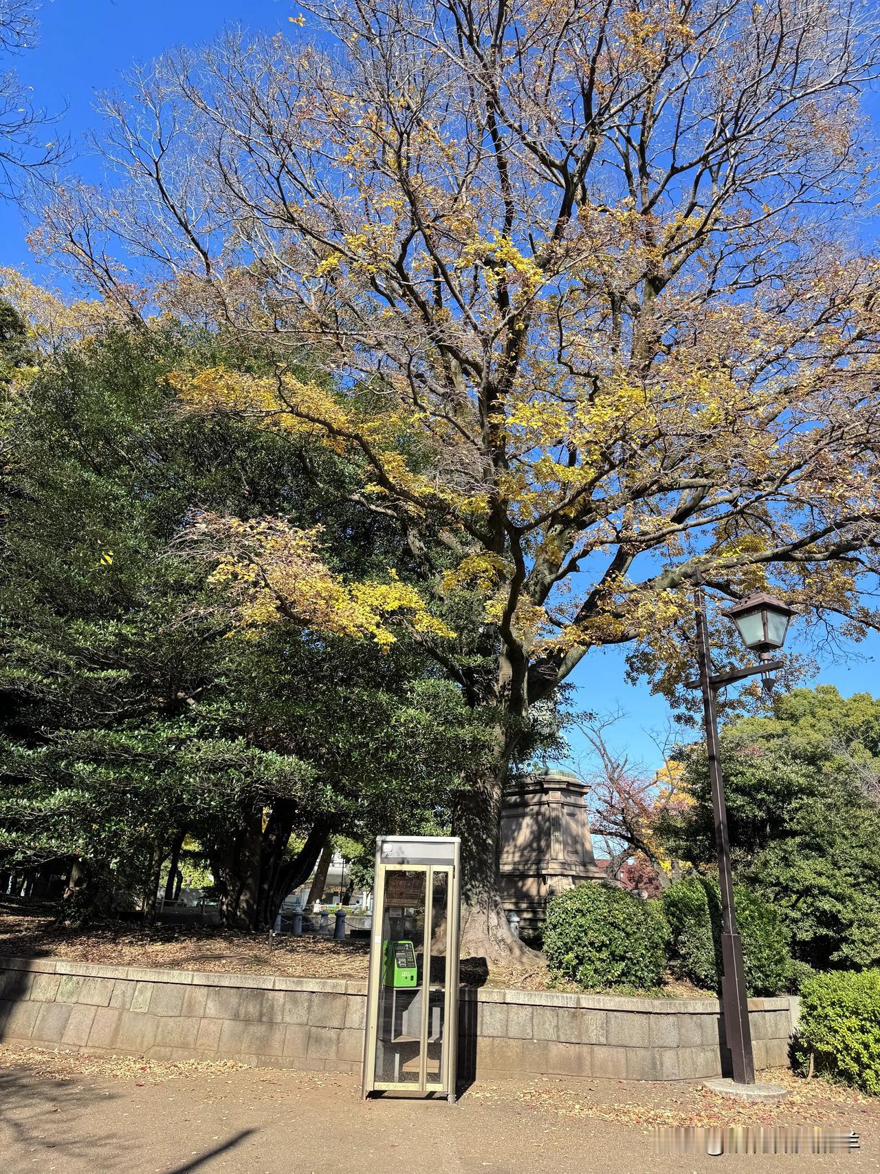 两个小老人日本自由行 之Day 7

今天白天游览了东京地铁上野站附近（上野公园