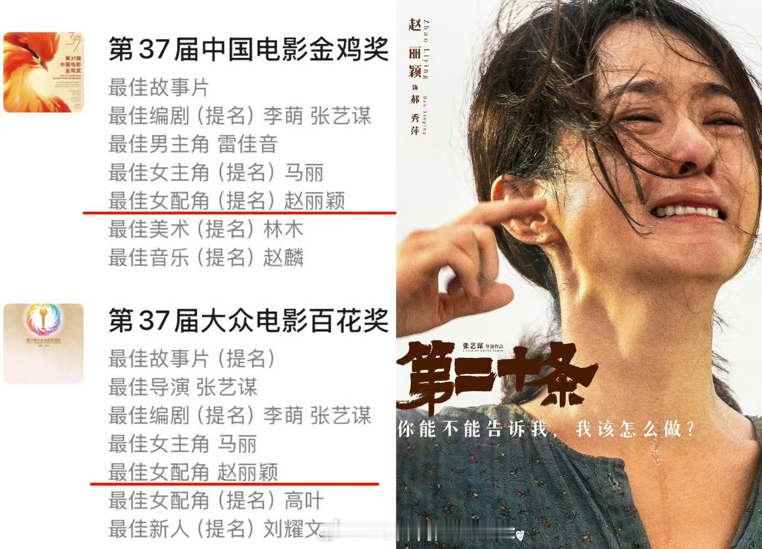 官方认证的视后，赵丽颖 