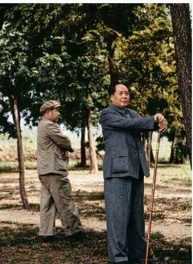 毛主席的这张照片，是1954年4月5日，在北京昌平的明十三陵拍摄的，这里绿树成荫