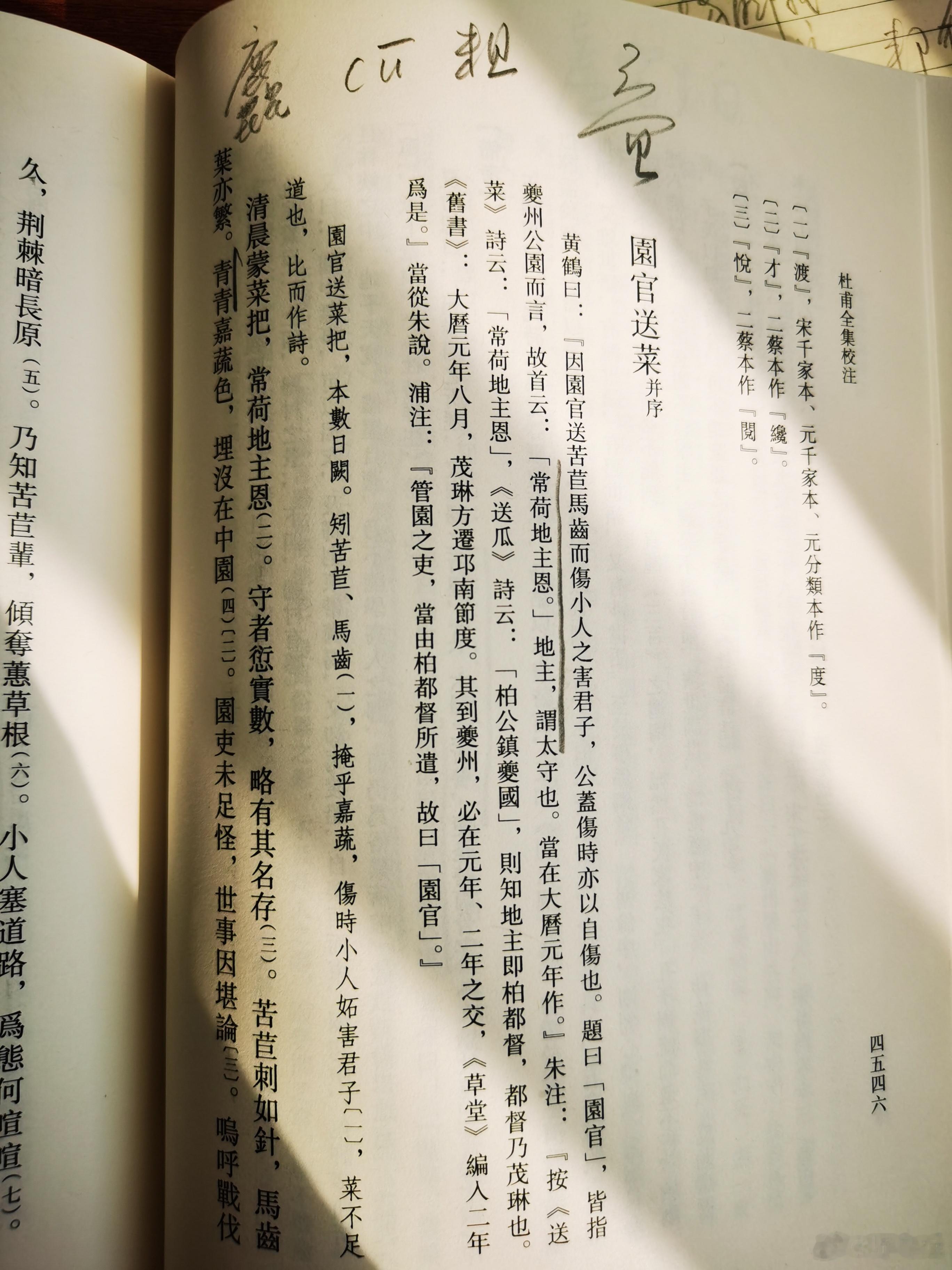 假日读杜诗（二）------畦蔬绕茅屋，自足媚盘餐看着他逃难，漂泊，定居在溪边盖