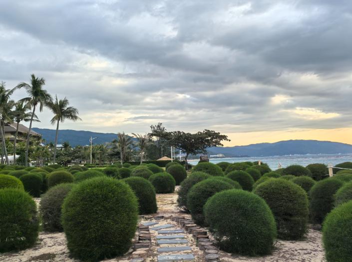 日本的苦日子，还在后面。现在日本属实是有点搞不清状况。因为本质上来说，当前的国际