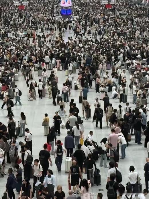 这下知道慌了！
54万人非要往日本冲！现在哭着回不来，早说过别去啊！

真是替人