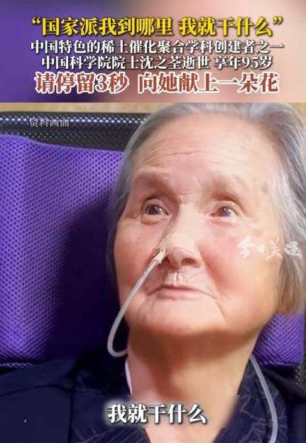她让中国的轮胎有了“中国芯”，95岁的沈之荃走了.

7月2日16时54分，杭州