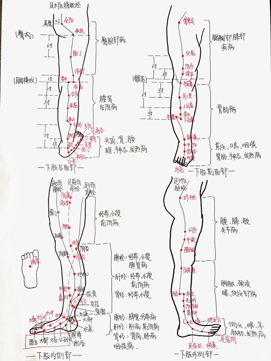 零基础学中医| 针灸篇 干货分享