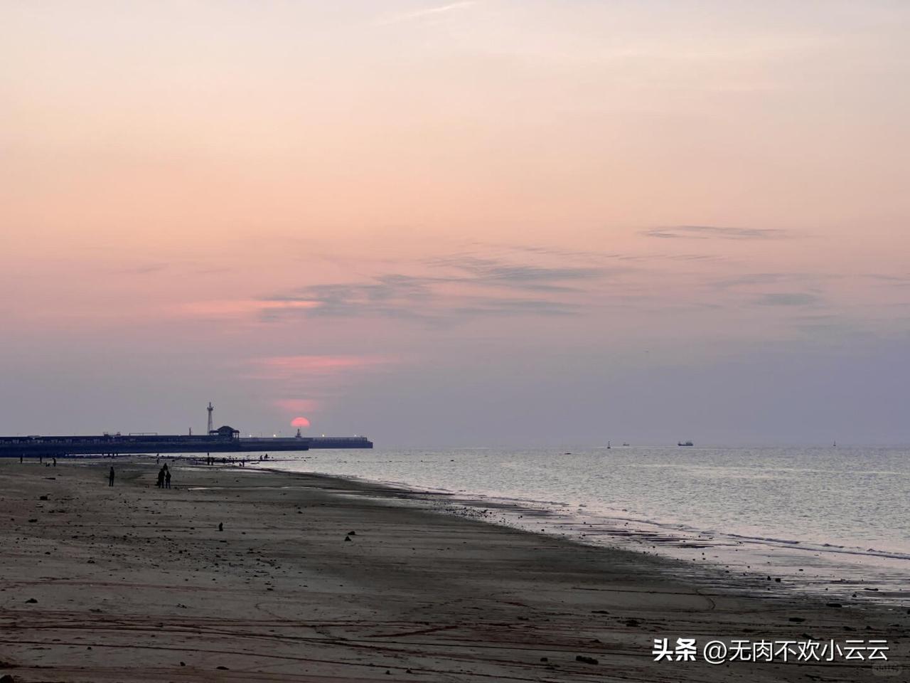 记录我的2026