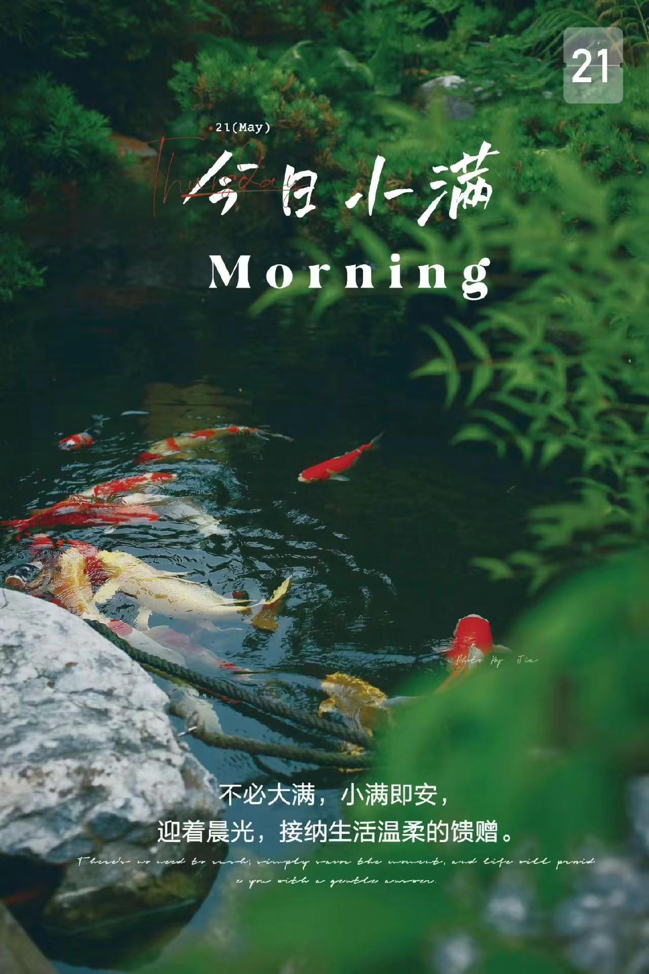 吃喝玩乐分享计划 森系环境布置  今日小满：小得盈满