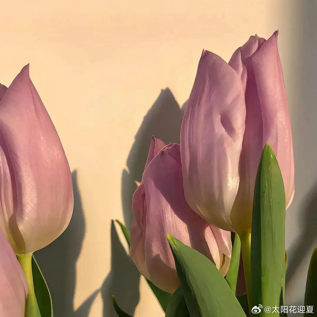 花儿浓得像油画，收藏这个秋天～ ​​​