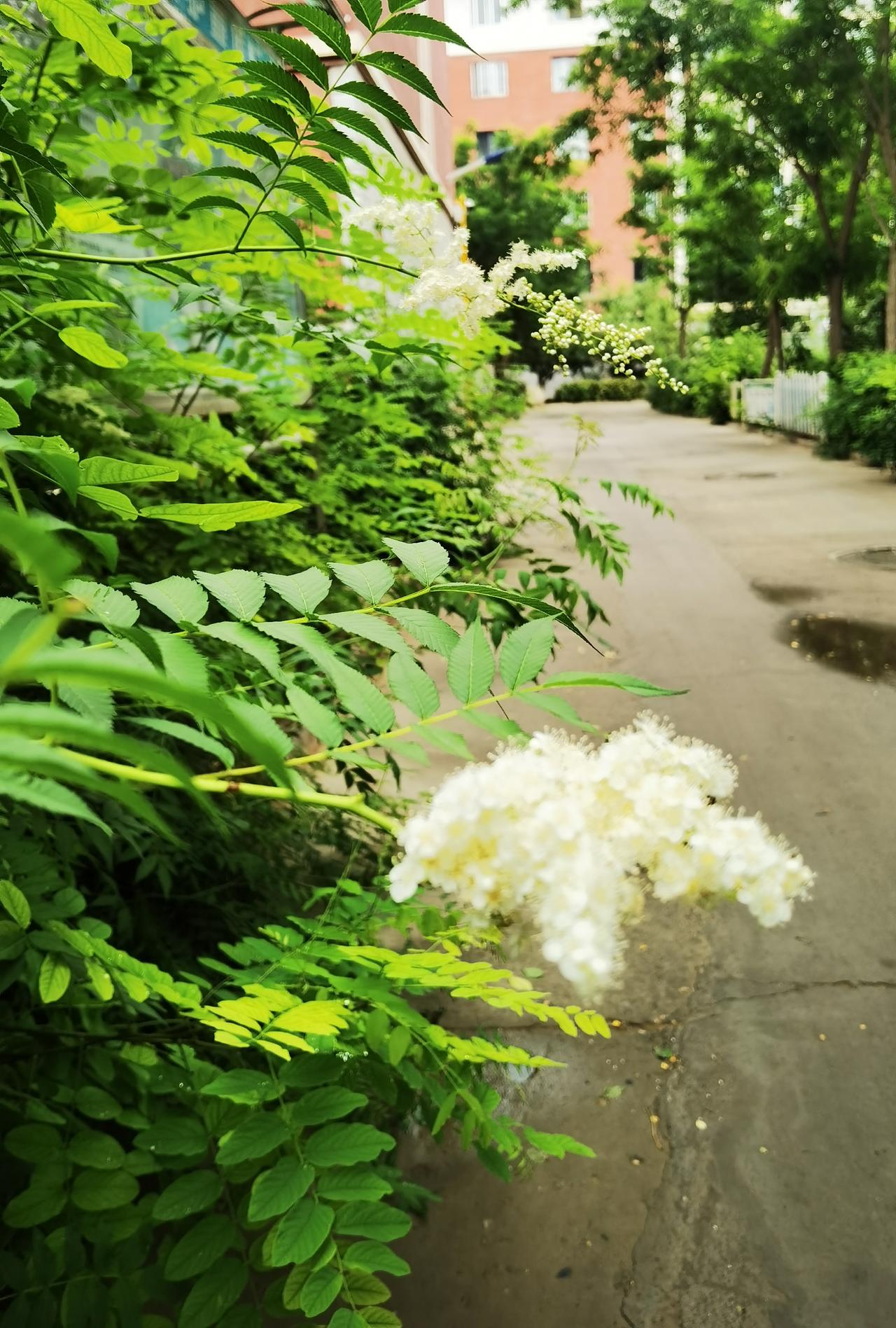 老中医建议我按压合谷穴，半年后发生什么
一年前我头痛，就去一条小巷找一位老中医开
