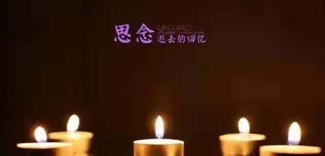 就在那一刻，我仿佛看见了生命最深沉的悲与爱交织在一起的模样。老人离开了，带走了她
