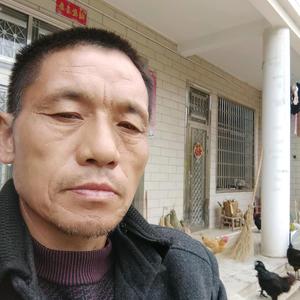 张大哥在常德