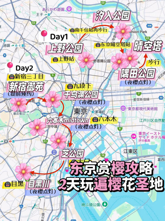 东京樱花手绘地图｜2天玩转东京赏花圣地🌸