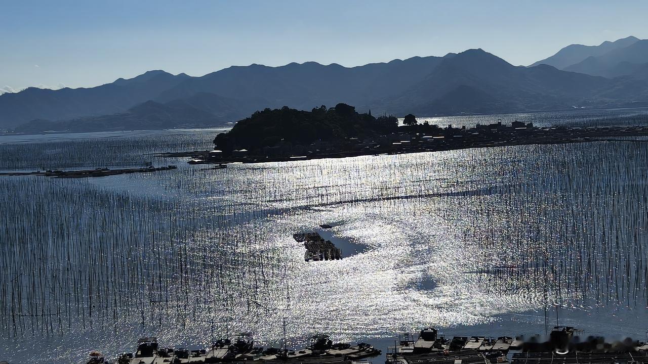 霞浦沙江S湾🌊
登上观景台，俯瞰这片闻名世界的滩涂。密密麻麻的养殖竹竿林立海面