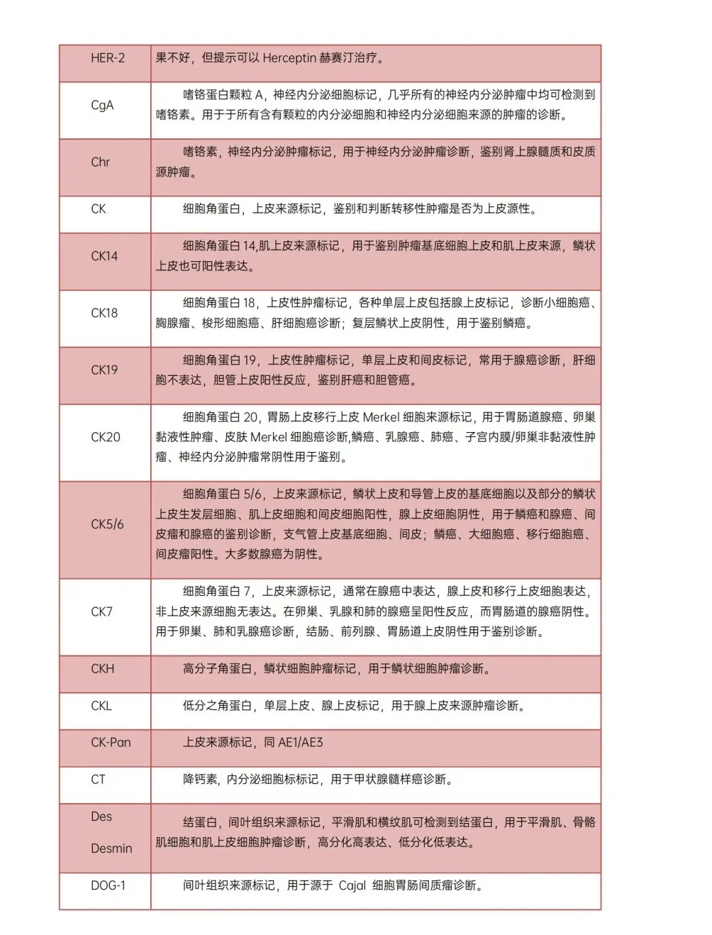 类器官免疫组化所染marker临床意义