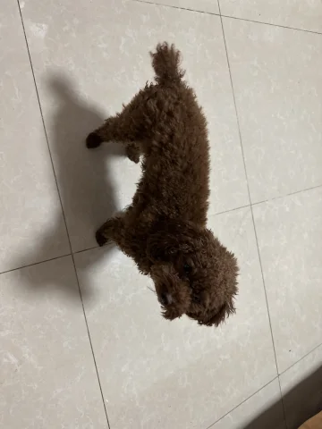 杜畿共谈课程