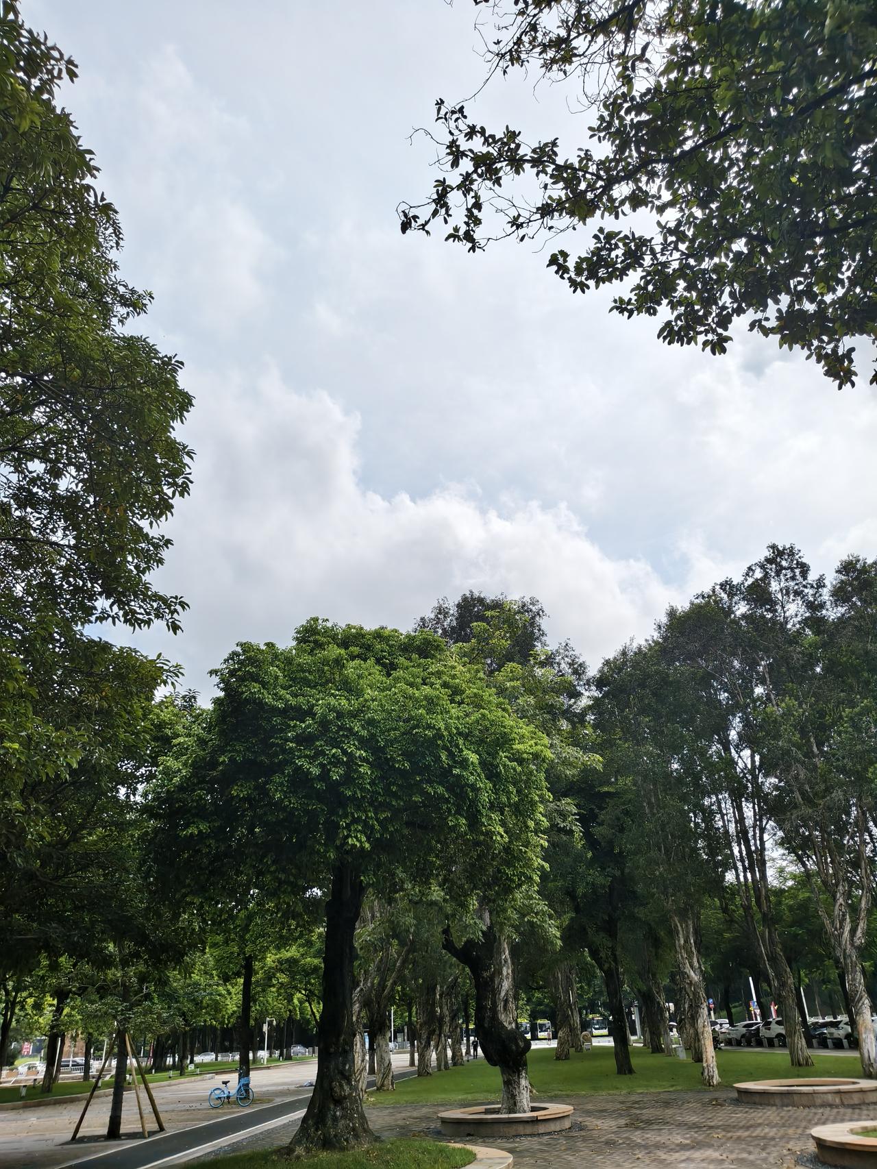 那天在外面吃饭，旁边两个男孩子在聊天，不小心听到其中一个说，我住的出租屋有安装了