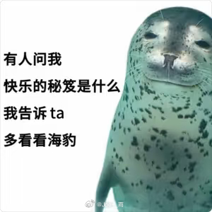 海豹就是全世界第一可爱的呀 